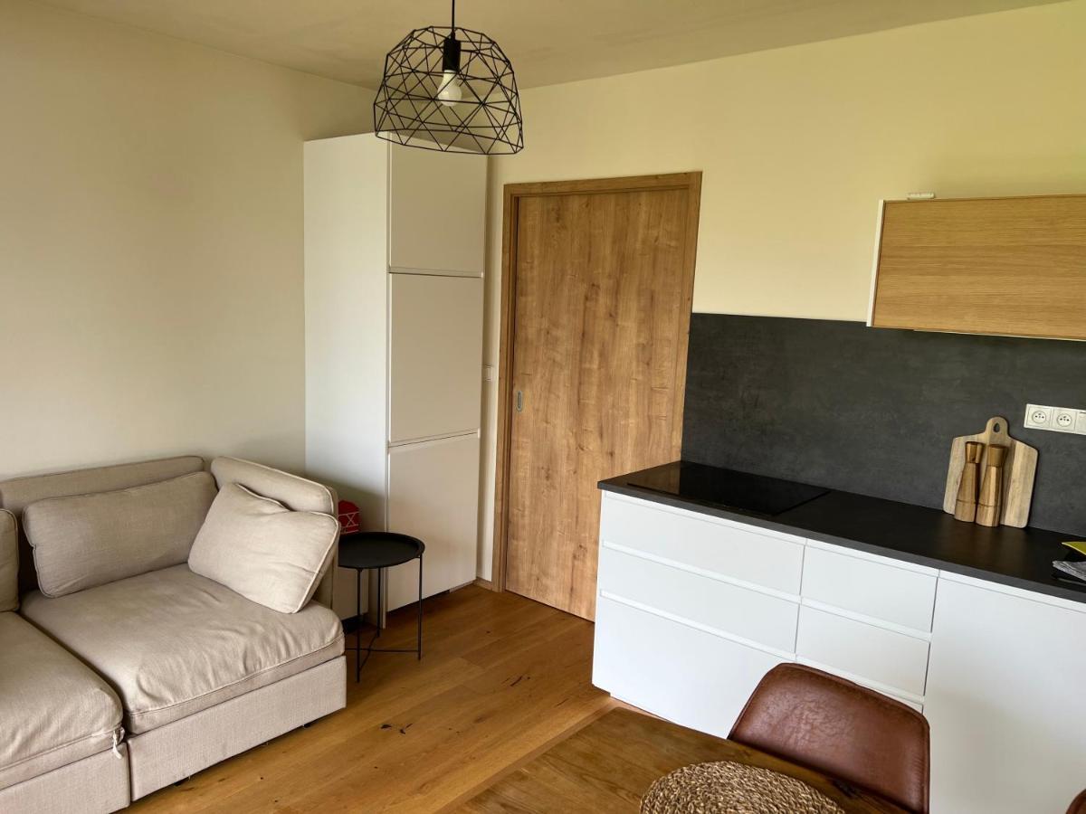 Apartman Boruvka Zelezna Ruda Exterior photo