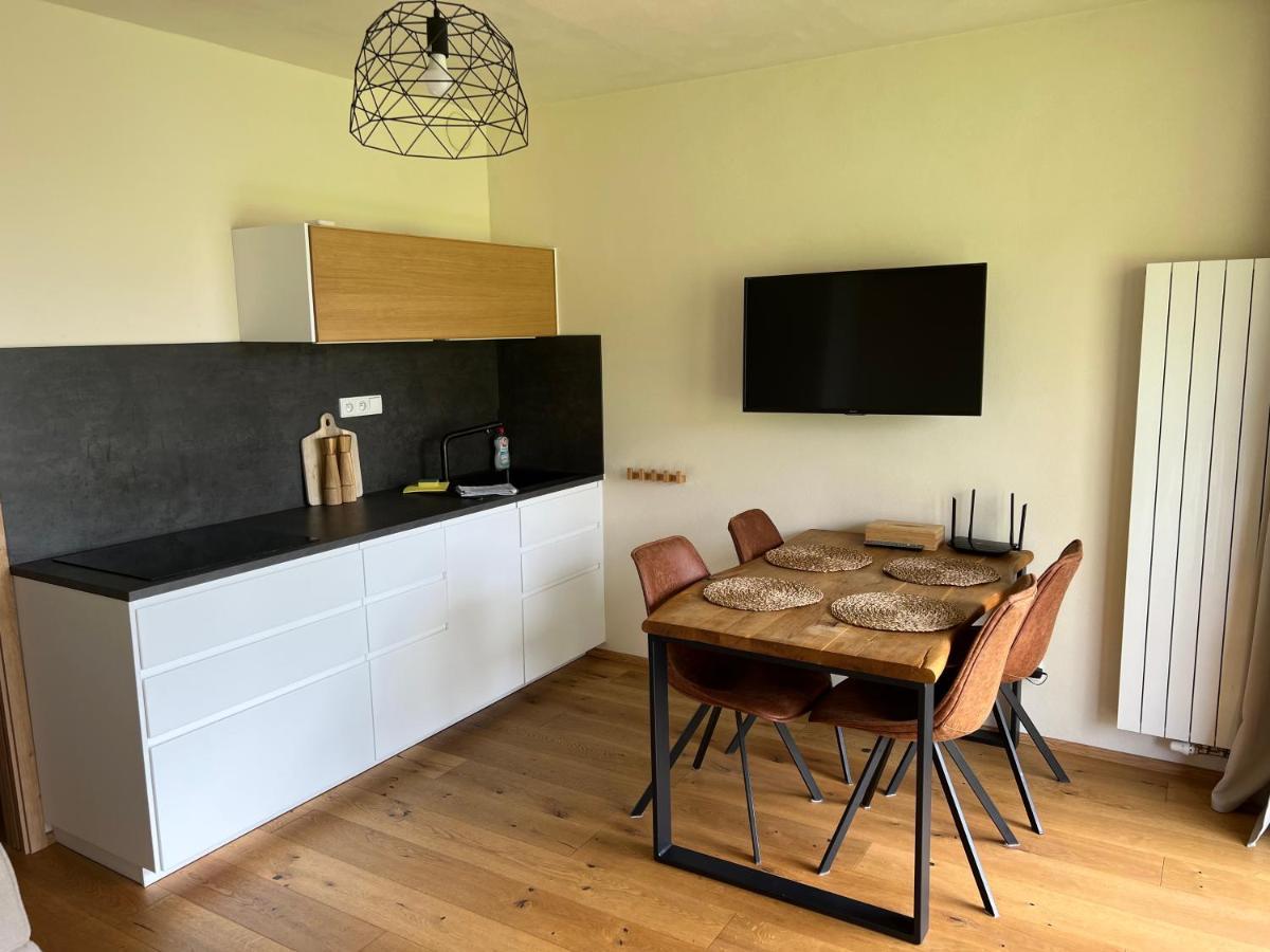 Apartman Boruvka Zelezna Ruda Exterior photo