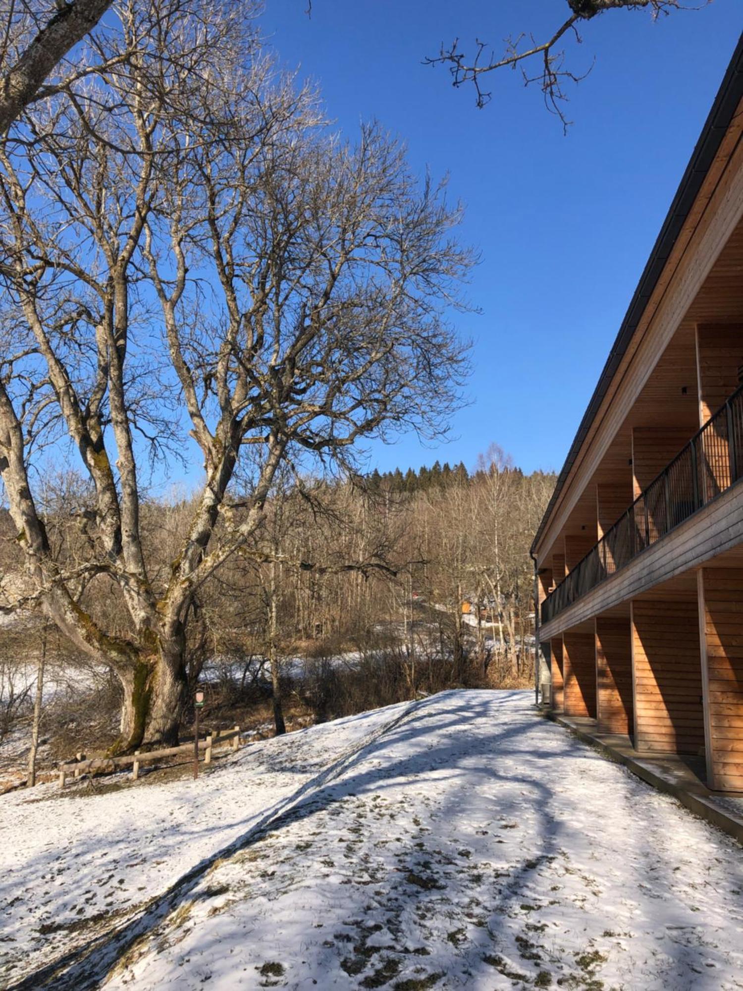 Apartman Boruvka Zelezna Ruda Exterior photo